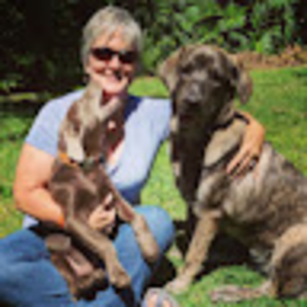 Meet your Posher, Ylice